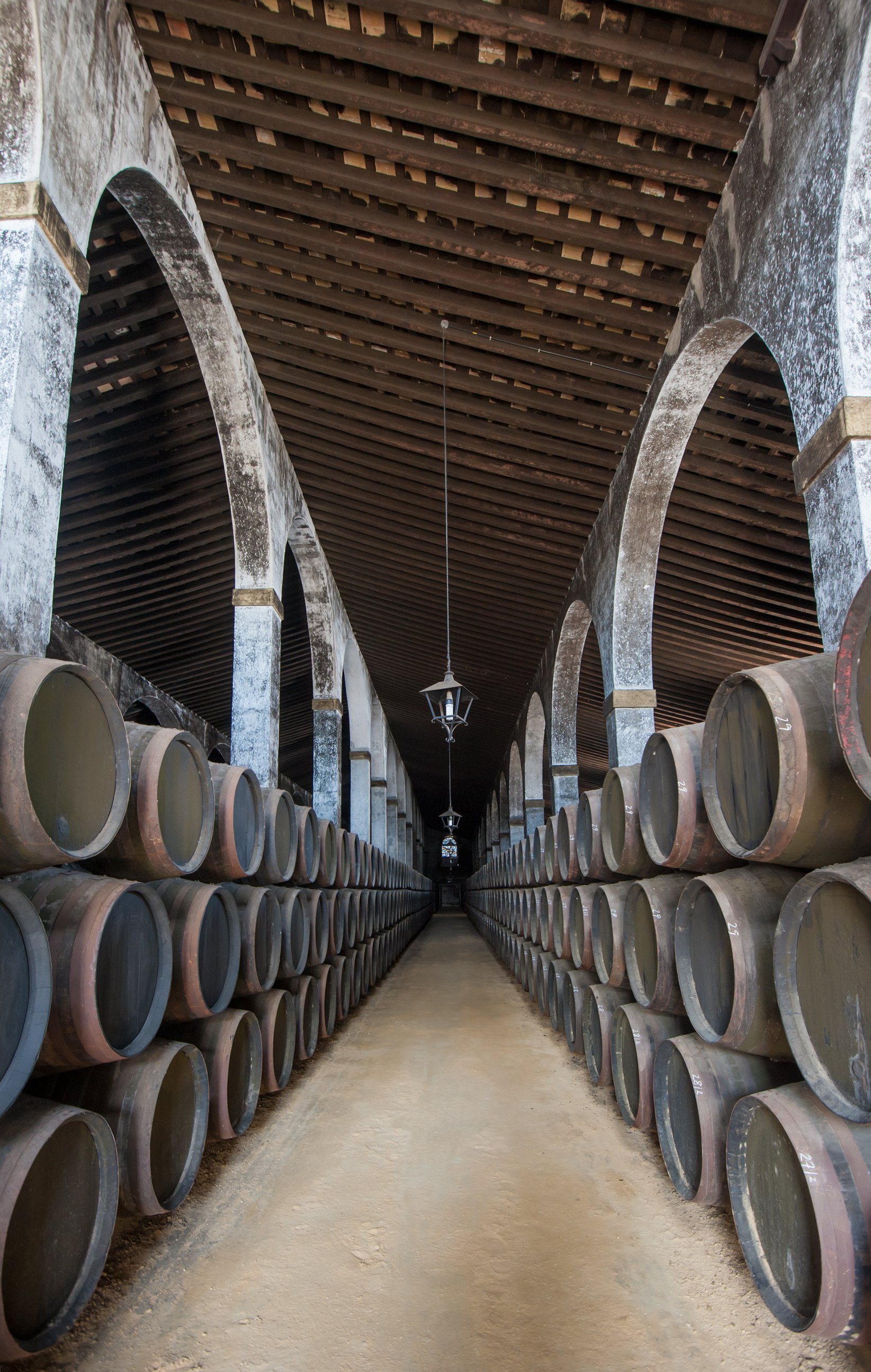 Sherry barrels in Jerez bodega, Spain